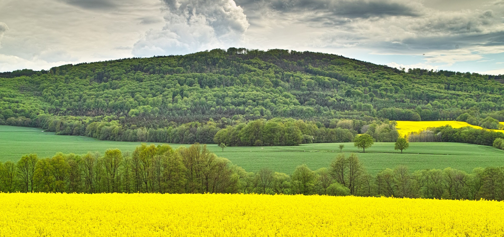 Der Czorneboh bei Bautzen und die angrenzenden Berge – Eberhard Schmitt