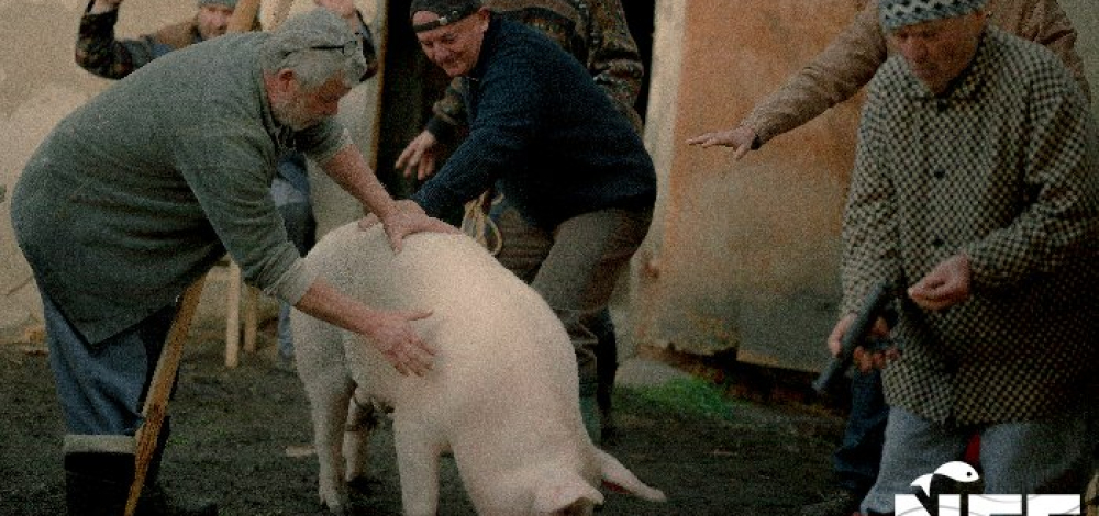 22. Neiße Filmfestival: Mord