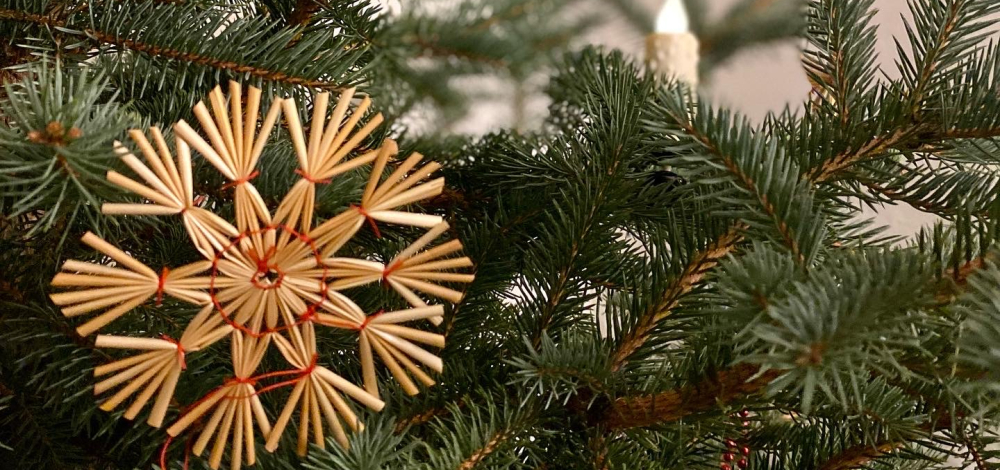 Romantische Schlossführung im Advent