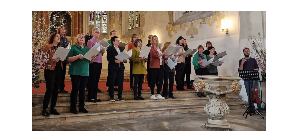 „Die Stimm’Reichen“