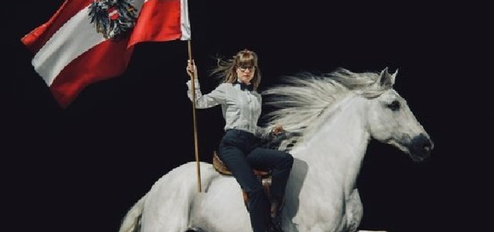 Noch lange keine Lipizzaner