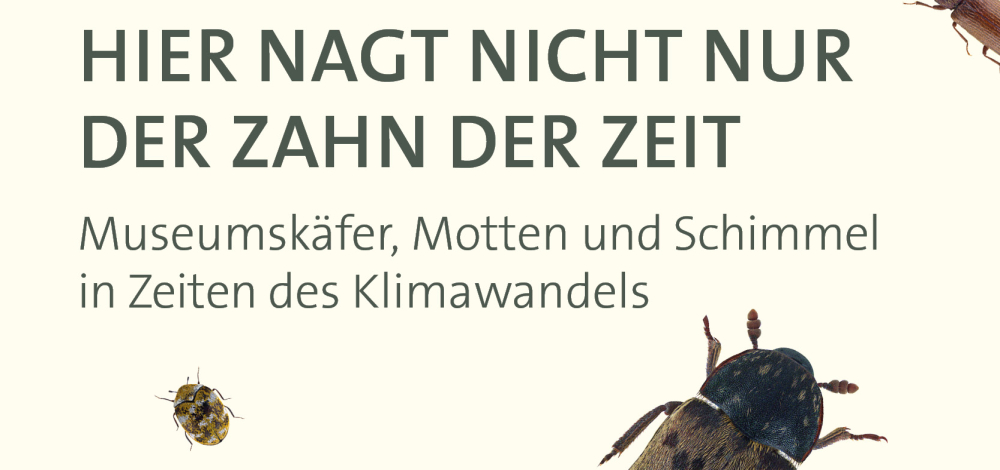 Ausstellungseröffnung: „Es nagt nicht nur der Zahn der Zeit“