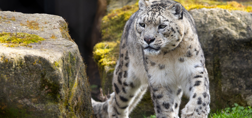Entdeckertag im Zoo Dresden