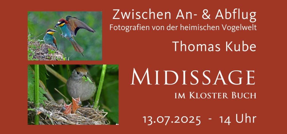 Midissage - Thomas Kube: Zwischen An- und Abflug - Fotografien von der heimischen Vogelwelt