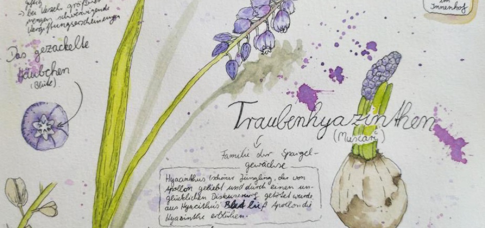 Nature Journaling – Naturentdeckungen mit Stift und Papier