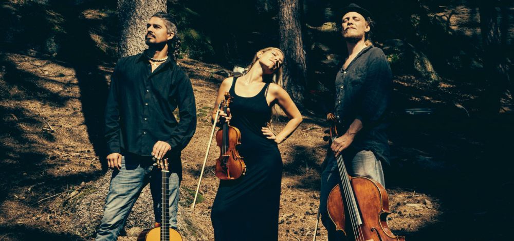 WILD STRINGS TRIO (FR, SI, SK)