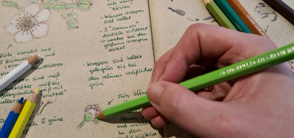 Nature-Journaling – Entdecke deinen Waldmoment