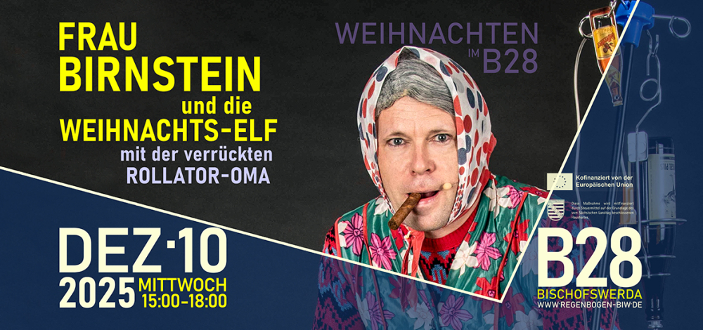 Frau Birnstein und die Weihnachts-Elf