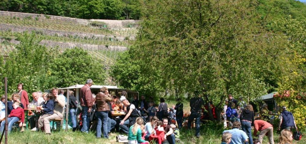 Frühlingsfest an der Weinbergkirche