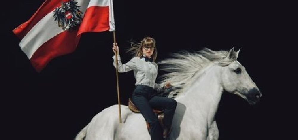 Noch lange keine Lipizzaner