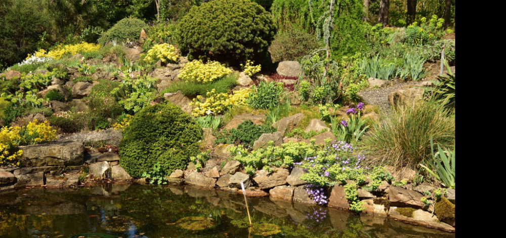 17. Tag der Parks und Gärten