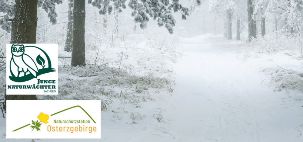 Winterzauber in der Natur | Praxistag der Jungen Naturwächter (JuNa)