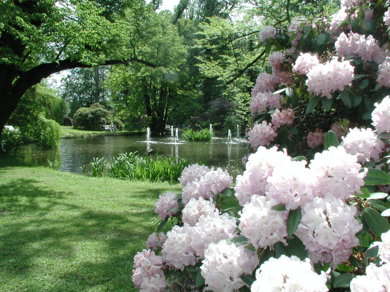 Führung durch den Schlosspark