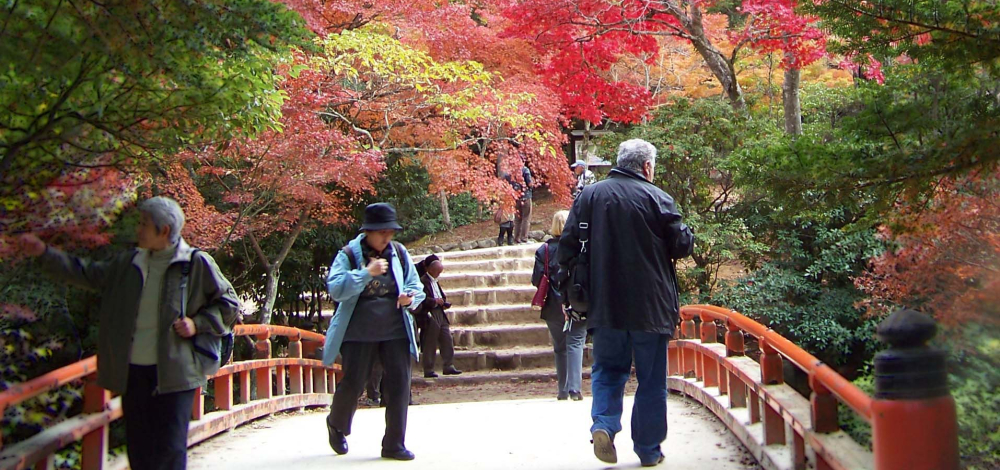 Japanische Gartenkunst und Naturphilosophie