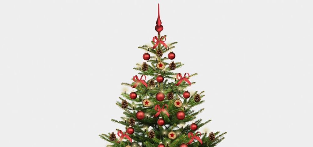 Ist denn schon wieder Weihnachten