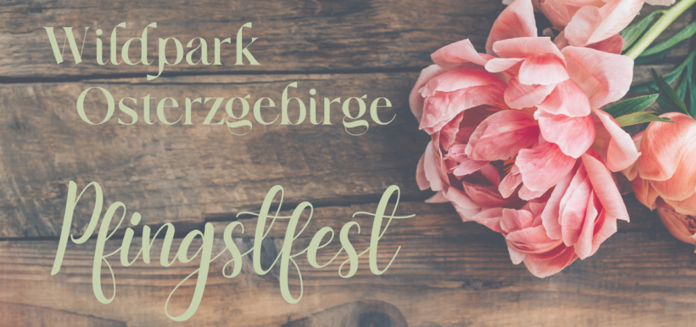 Pfingsten im Wildpark Osterzgebirge