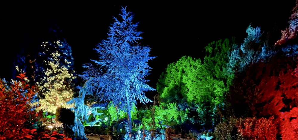 Magischer Lichter der Vulkane - Heißes Glühen der Lavaströme