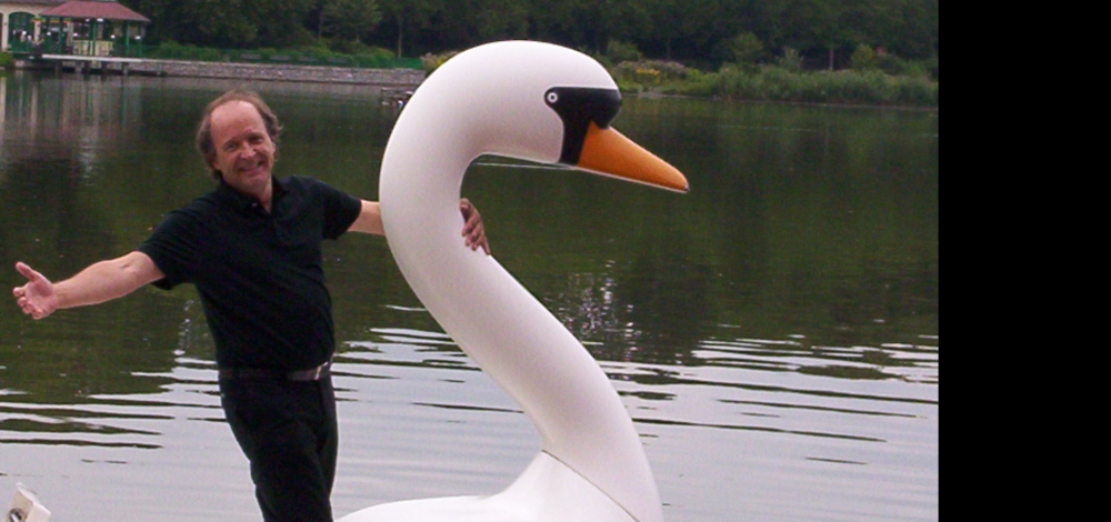 Schwanensee - Ballett auf Fingerspitzen