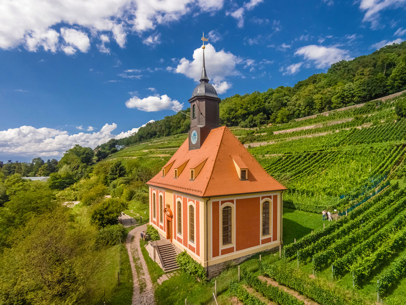 Sonderführung »Reblaus, Öchsle, Weinbergkirche - Ein Spaziergang«