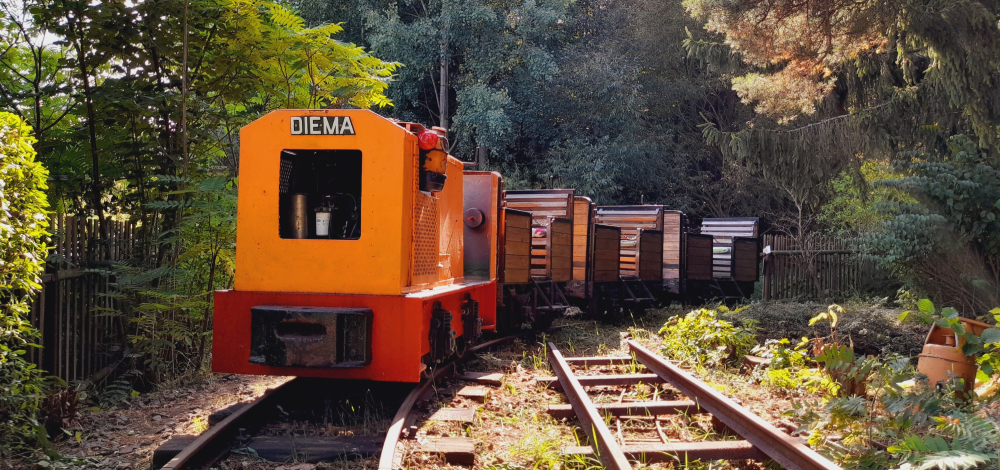 Kleine Technikschau bei Werners Gartenbahn