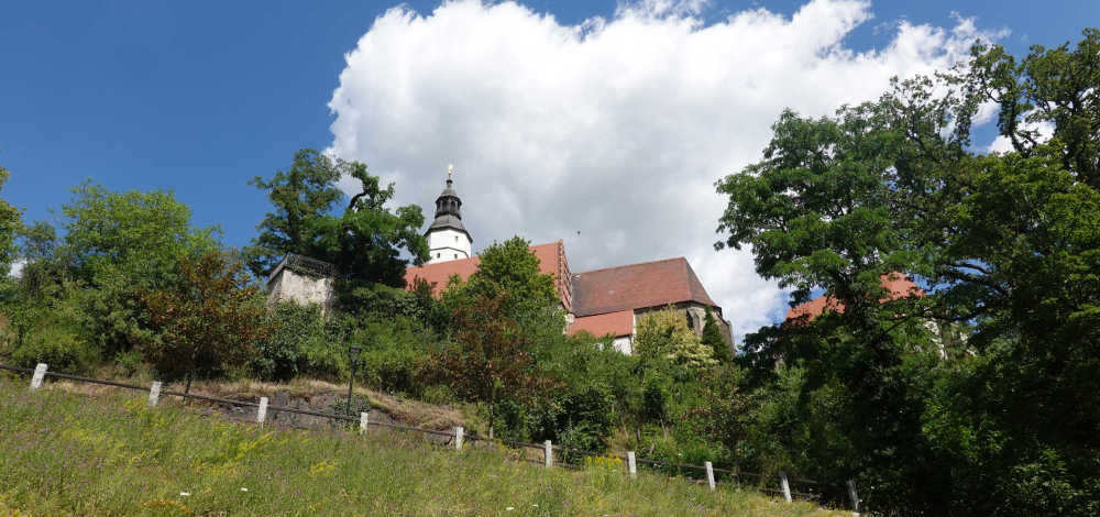 Naturkundliche Exkursion am Tag des Geotops: Geologischer Streifzug durch Kamenz