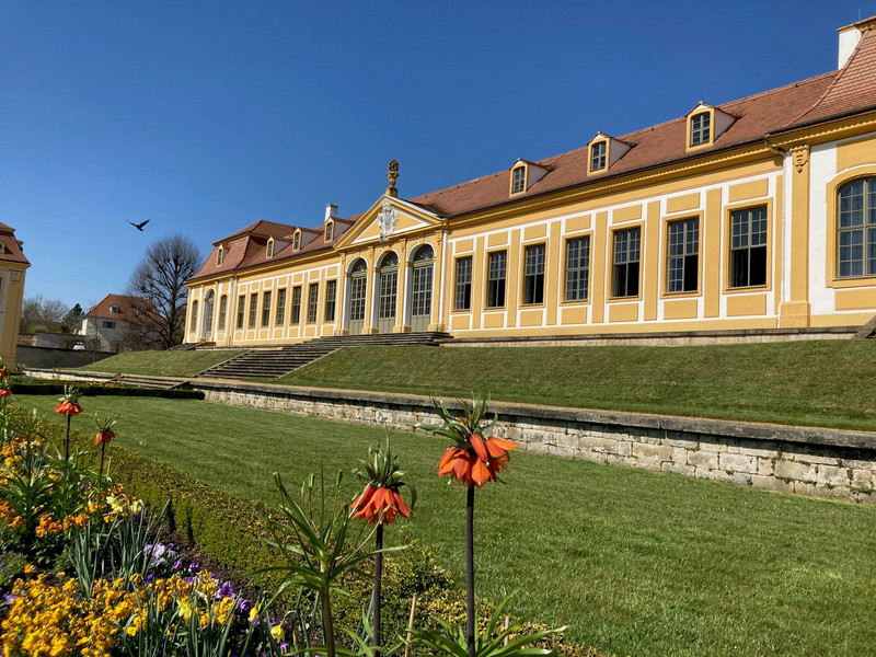 Von Kaiserkronen und Mannsschild – Die Frühjahrspflanzung