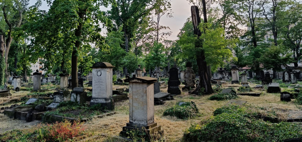 Führung über den Eliasfriedhof: Unterwegs in Dresden und der Welt – Johann Gottlieb Naumann, Komponist und Hofkapellmeister