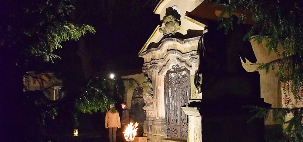 Wunderweiße Weihnacht: Geschichten zum Advent