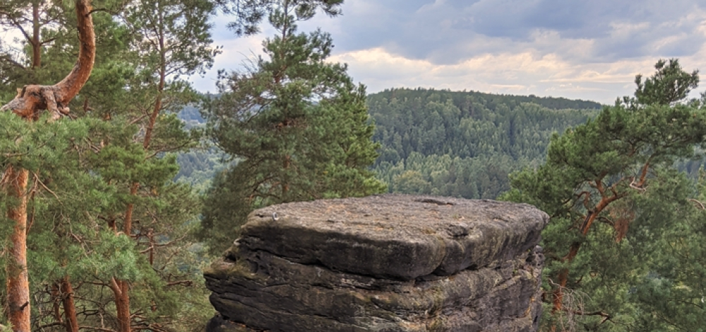 Themenwanderung zum Berufsausstieg - Zum Quirl (8km, mittel)