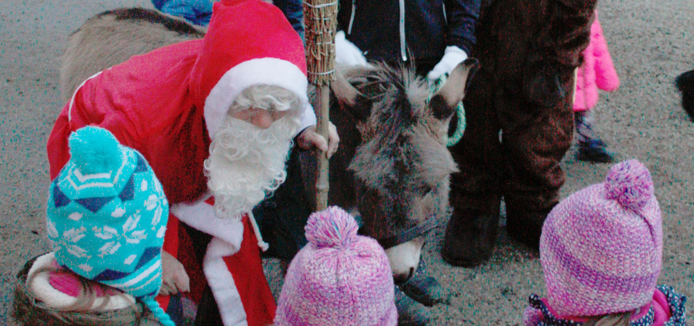 Bescherung der Tiere