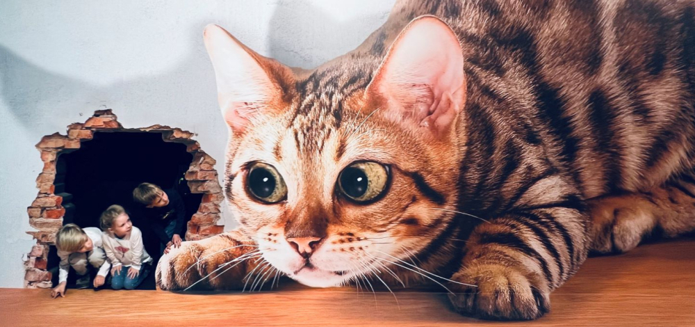 Die Illusionswelt Ausstellung in Oskarshausen (Freital)