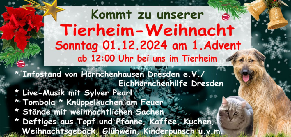 Tierheim-Weihnacht