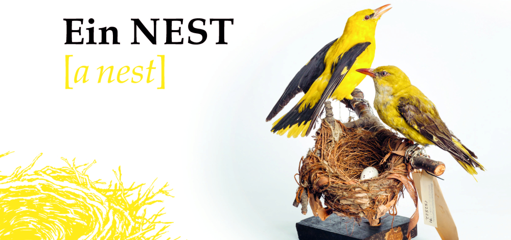 SONDERAUSSTELLUNG | Ein Nest [a nest]