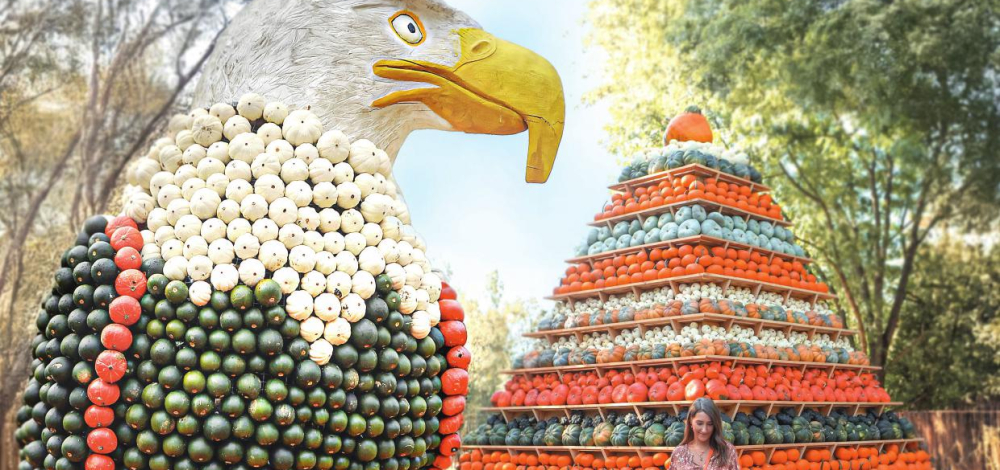 Erlebe den Herbst zum Abheben – Kürbishausen 2025 wird zum Kürbis-Himmel!