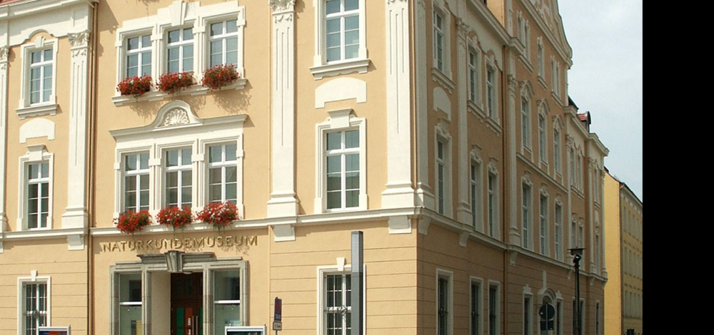 Warum werden Frauen unterdrückt? – Ein Blick auf unsere Geschichte Vorträge von Dr. Bernhard Seifert, Görlitz