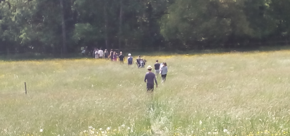 rAusZeit vom 29.04. bis 03.05. im Tal der Weißeritz