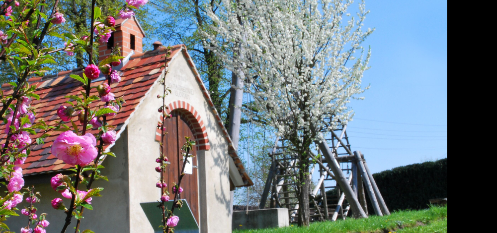 17. Tag der Parks und Gärten