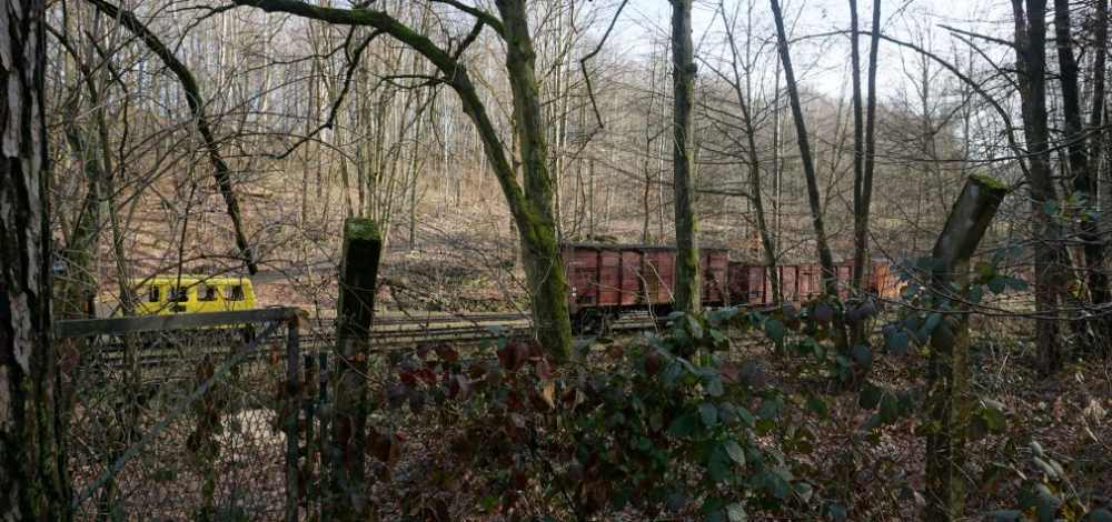 Wanderung zum Feldbahnmuseum in der Herrenleite bei Lohmen.