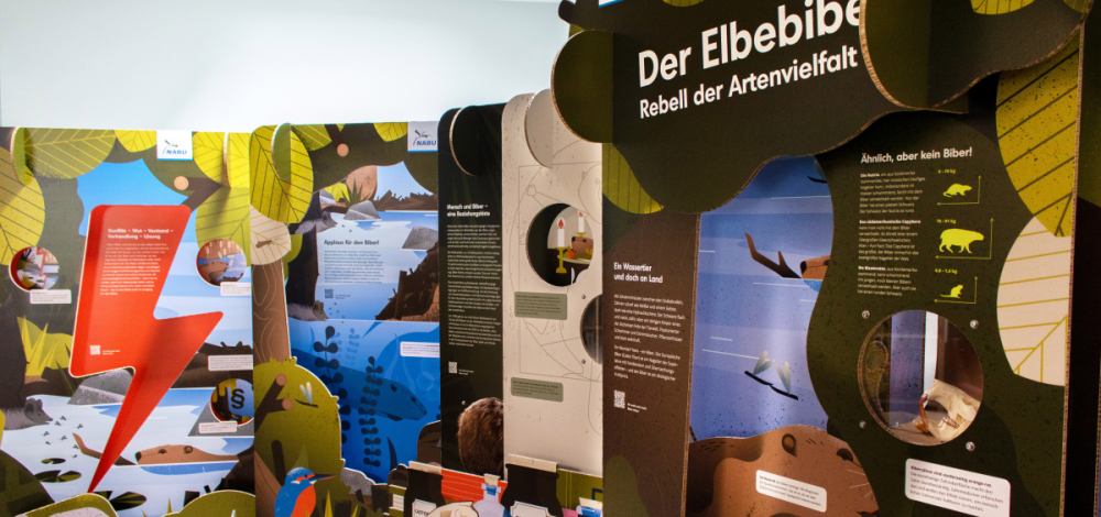 „Der Elbebiber – Rebell der Artenvielfalt“