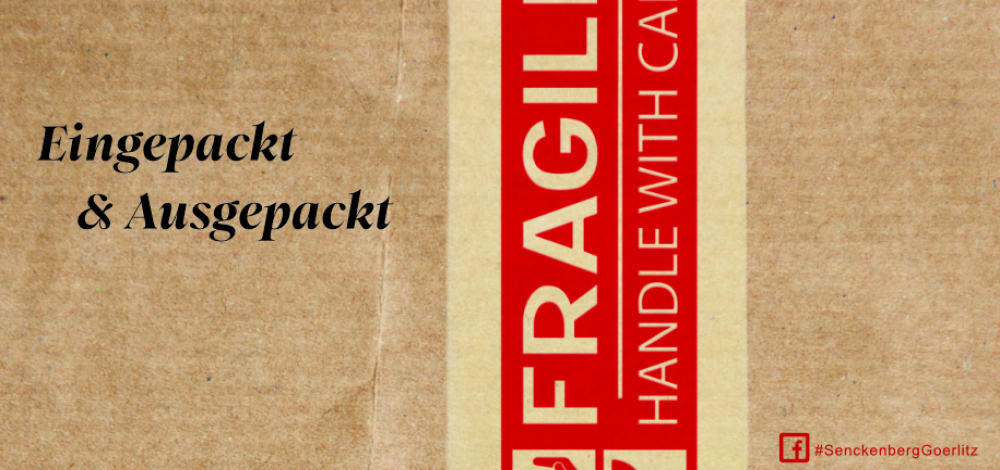 Eingepackt & Ausgepackt