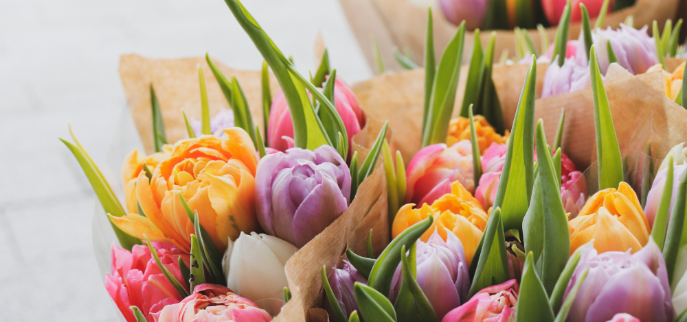 Farben und Klänge zum Muttertag