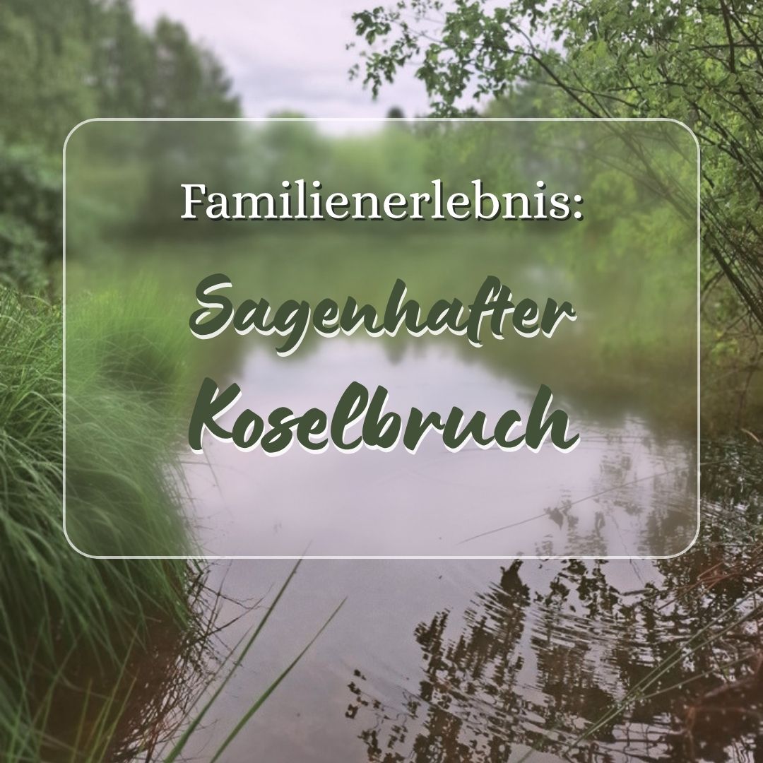 Familienführung: Sagenhafter Koselbruch