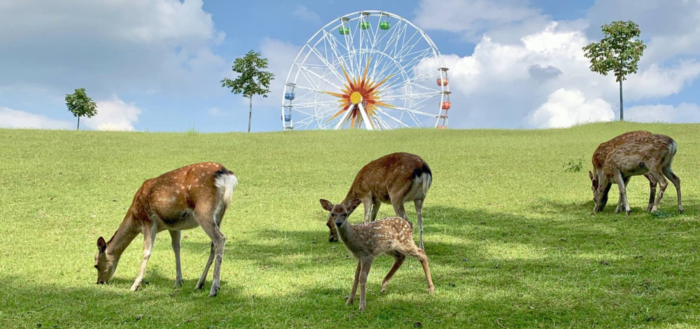 Schulanfang im Sonnenlandpark Lichtenau/Sachsen