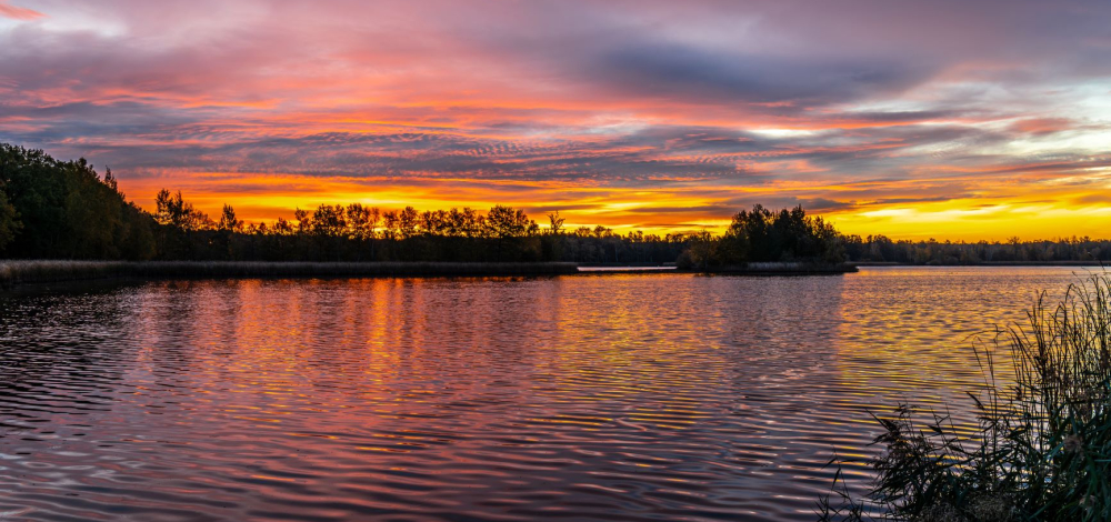 Mit dem Ranger unterwegs: Abendführung in den Guttauer Teichen