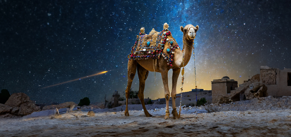 Amahl und die nächtlichen Besucher