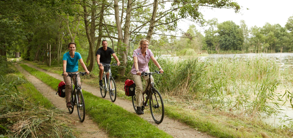 Fahrradtour in der Heide- und Teichlandschaft - Heidetour