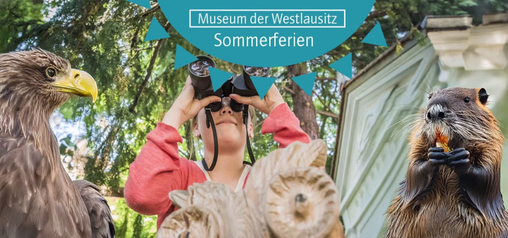 Sommerferien im Museum: Tierforscher im Museum