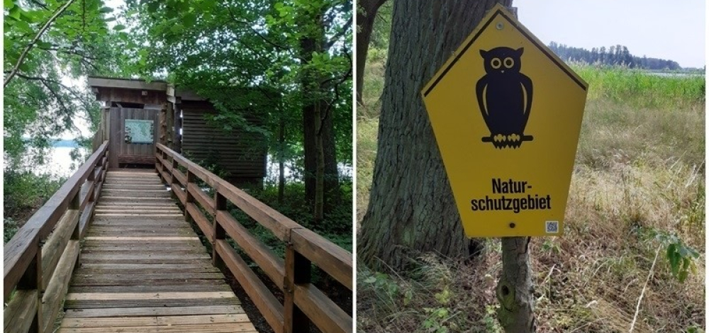 Vögel, Biber, Bison - Fahrradtour mit dem Ornithologen Jörg Kasper