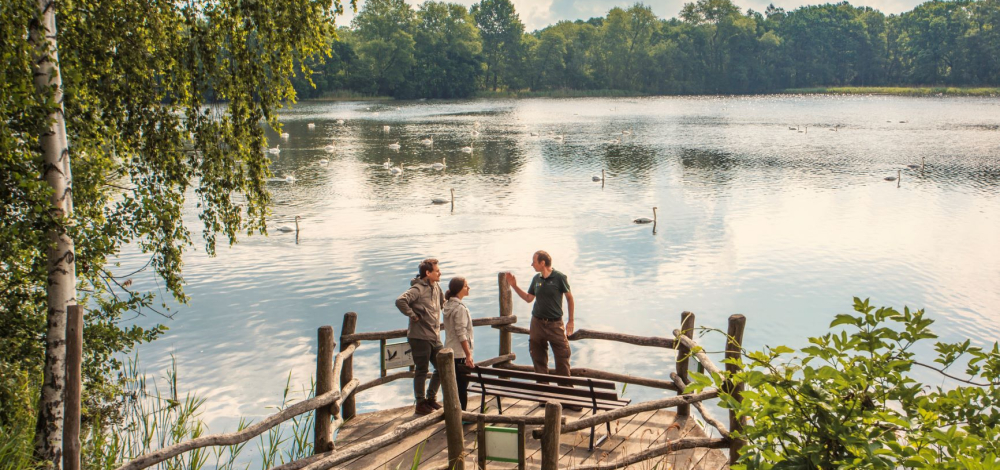 Frühlingswanderung durch die Teichgruppe Guttau