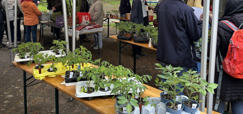 15. Pflanzen-Tauschbörse in Bautzen